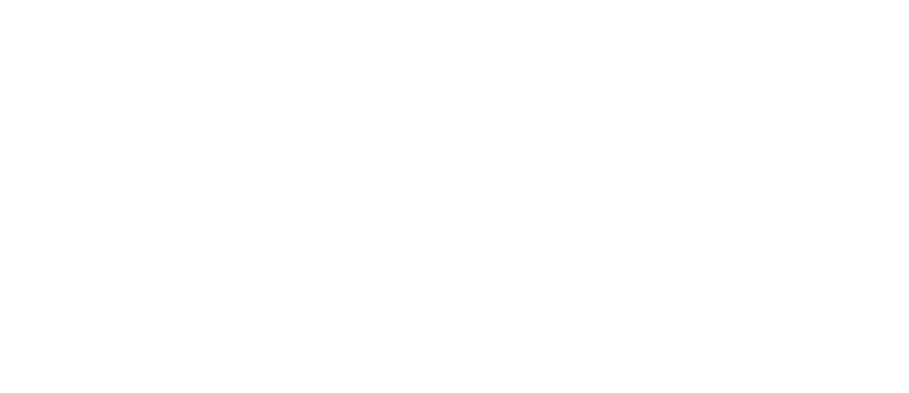 dgs_logo_white23